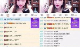 爆料新疆女主播视频,揭秘网络直播背后的真相